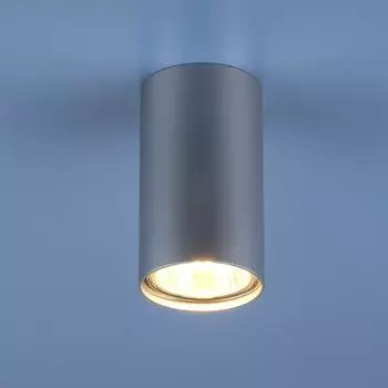 Потолочный светильник Elektrostandard 1081 5257 GU10 SL серебро 4690389104381