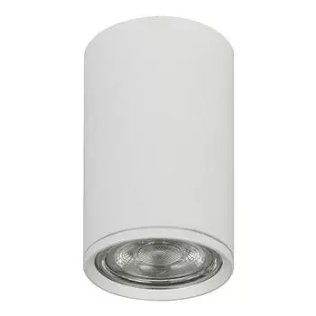 Потолочный светильник Escada 20001SMU/01 SWH