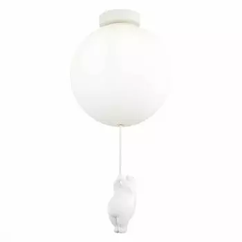 Потолочный светильник Evoluce MODENA SLE115412-01