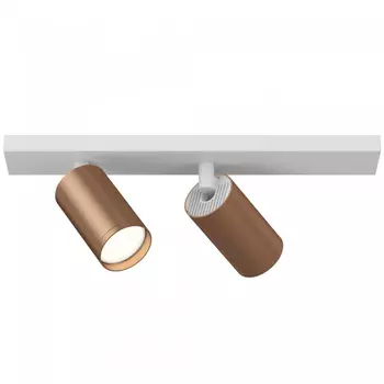 Потолочный светильник FOCUS S C051CL-2WC