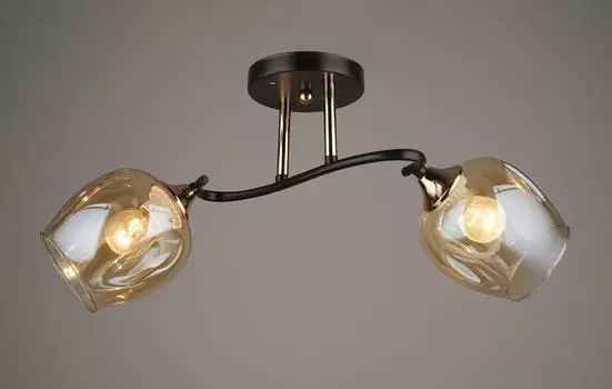 Потолочный светильник Hiper Artex H209-2