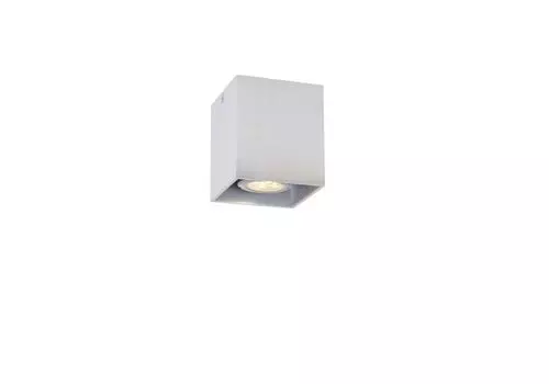 Потолочный светильник Lucide Bodi 09101/01/12