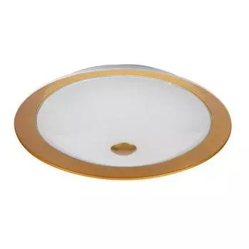 Потолочный светильник Maytoni Euler CL815-PT50-G