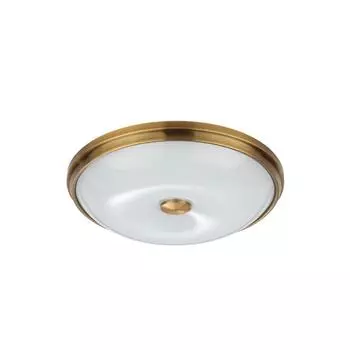 Потолочный светильник Odeon Light Pelow 4956/4