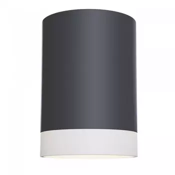 Потолочный светильник Pauline C008CW-01B