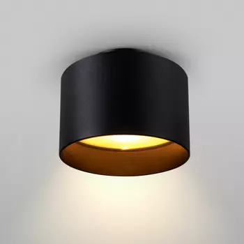 Потолочный светильник Planet C009CW-L16B