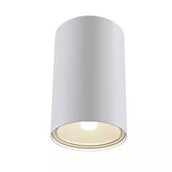 Потолочный светильник Technical C033WL-01W