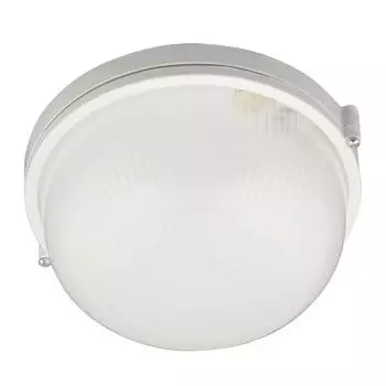 Потолочный светильник Uniel UWL-R01 100W/E27 IP54 White UL-00006771