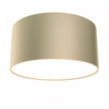 Потолочный светильник Zon C032CL-L12MG4K