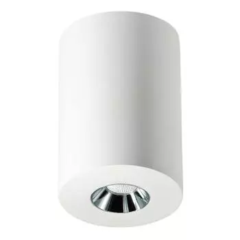 Потолочный светодиодный светильник Elvan NLS-210067-4.2W-WW-WhCh