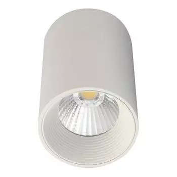 Потолочный светодиодный светильник Escada 20003SMU/01LED SWH