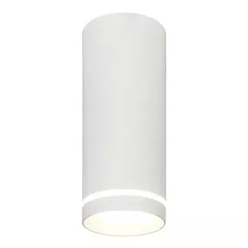 Потолочный светодиодный светильник Escada 20009SMU/02LED SWH