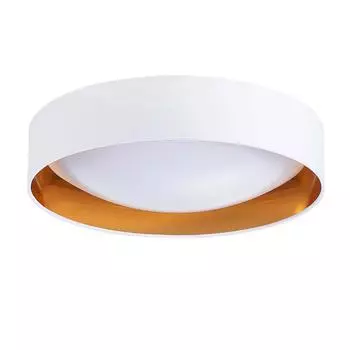 Потолочный светодиодный светильник Evoluce Orbio SLE201122-01