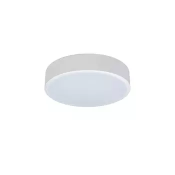 Потолочный светодиодный светильник Loft IT Axel 10002/12 white