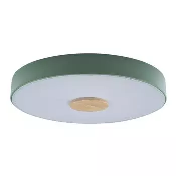 Потолочный светодиодный светильник Loft IT Axel 10003/24 green