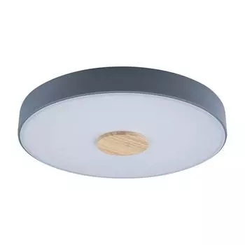 Потолочный светодиодный светильник Loft IT Axel 10003/24 grey