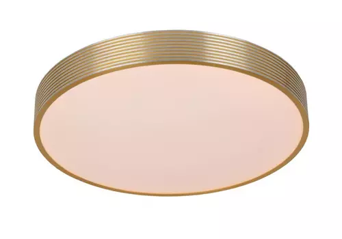 Потолочный светодиодный светильник Lucide Malin 79184/24/02