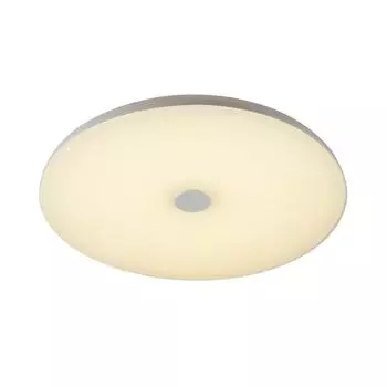 Потолочный светодиодный светильник Sonex Roki Muzcolor 4629/EL