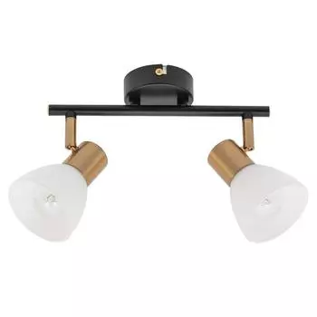 Спот Arte Lamp FALENA A3117PL-2BK