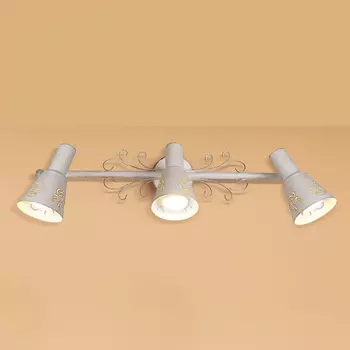Спот Citilux Дункан CL529532