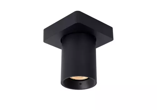 Спот Lucide Nigel 09929/05/30