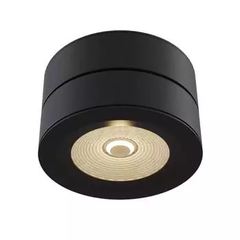 Спот Maytoni Treviso C023CL-L20B