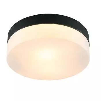 Светильник Arte Lamp AQUA-TABLET A6047PL-2BK