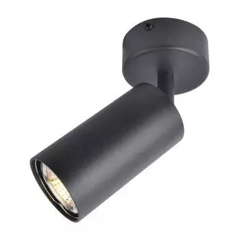 Светильник Arte Lamp AQUARIUS A3216PL-1BK