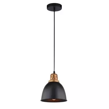 Светильник Arte Lamp EURICA A4245SP-1BK