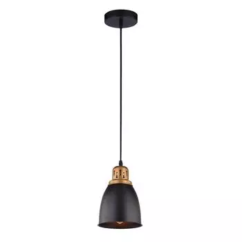 Светильник Arte Lamp EURICA A4248SP-1BK