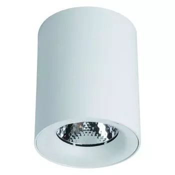 Светильник Arte Lamp FACILE A5112PL-1WH