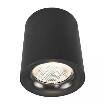 Светильник Arte Lamp FACILE A5118PL-1BK