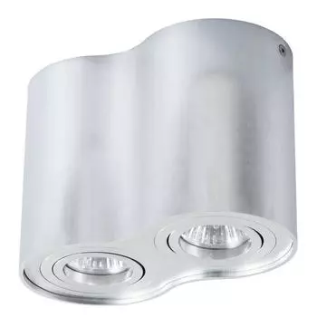 Светильник Arte Lamp FALCON A5644PL-2SI