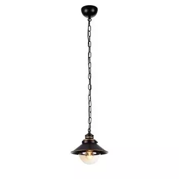 Светильник Arte Lamp GRAZIOSO A4577SP-1CK