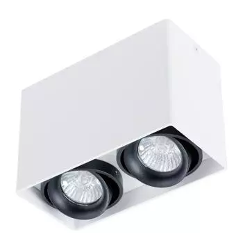Светильник Arte Lamp PICTOR A5655PL-2WH