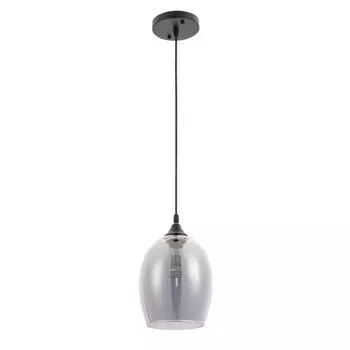 Светильник Arte Lamp PROPUS A4344SP-1BK