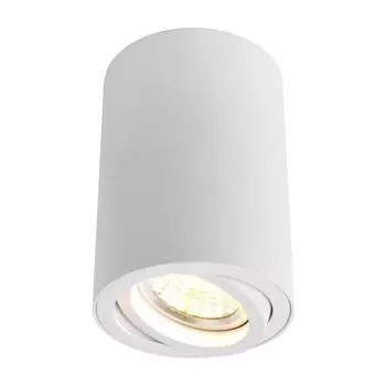 Светильник Arte Lamp SENTRY A1560PL-1WH