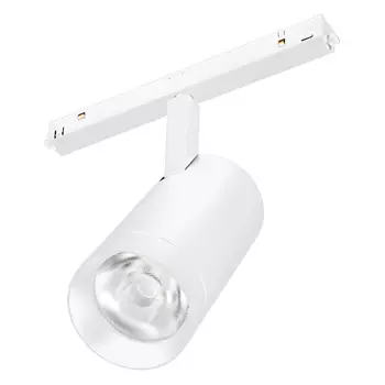 Светильник MAG-ORIENT-SPOT-R65-20W Day4000 (WH, 24 deg, 48V, DALI) (Arlight, IP20 Металл, 3 года)