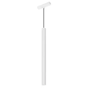 Светильник MAG-VIBE-SPOT-HANG-R35-10W Day4000 (WH, 24 deg, 48V) (Arlight, IP20 Металл, 5 лет)