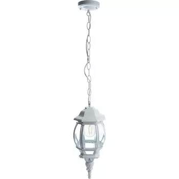 Светильник садово-парковый, 100W 230V E27 белый, 8105/PL8105 (на цепочке)