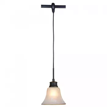 Трековый светильник Citilux Классик CL560215