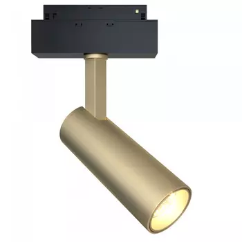 Трековый светильник TR019-2-10W4K-MG TR019-2-10W4K-MG