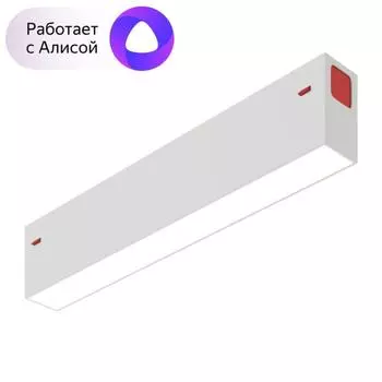 Трековый светодиодный светильник Denkirs DK8003-WH