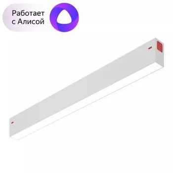 Трековый светодиодный светильник Denkirs DK8004-WH