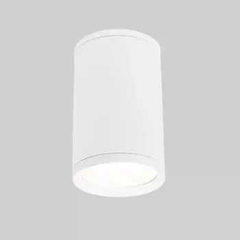 Уличный светильник Elektrostandard Light 35128/H белый 4690389175893