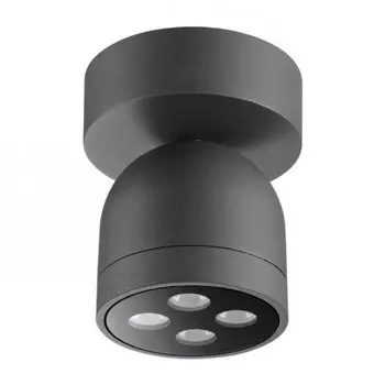Уличный светодиодный потолочный спот Novotech GALEATI 358118 LED 10W 3000K 220V