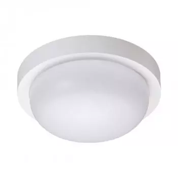 Уличный светодиодный потолочный светильник Novotech Opal 358014