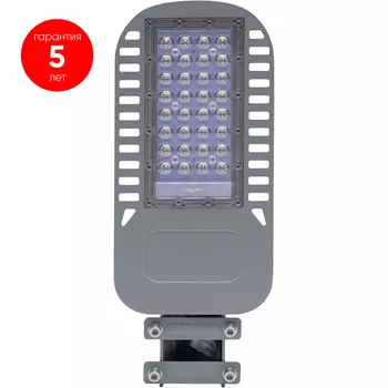 Уличный светодиодный светильник 30W 5000K AC230V/ 50Hz цвет серый (IP65), SP3050