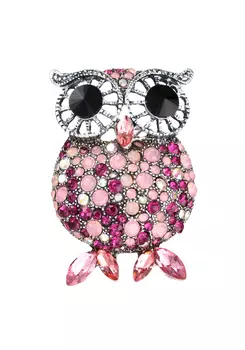 Брошь "Символ мудрости"