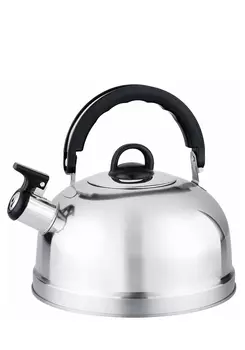 Чайник из нержавеющей стали со свистком
